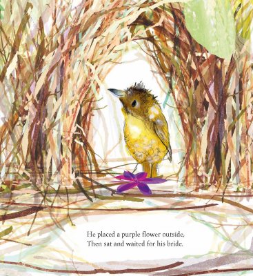 The Bowerbird: Signed Bookplate Edition (Hardback)