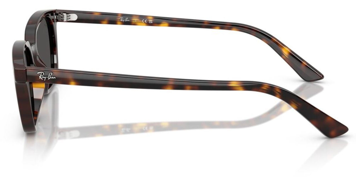 Ray-Ban<br>Zaya Bio-based Polished Havana