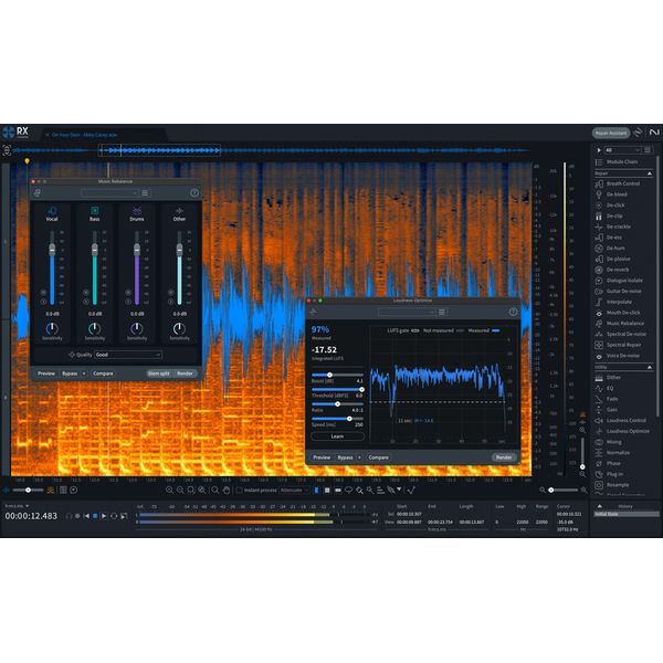 iZotope RX 11 Std UG RX St/Adv / PPS