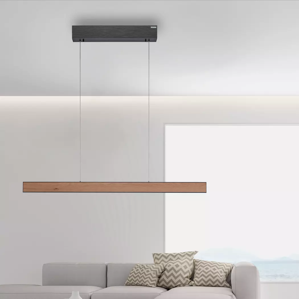 LED-Pendelleuchte Pure-E-Motion