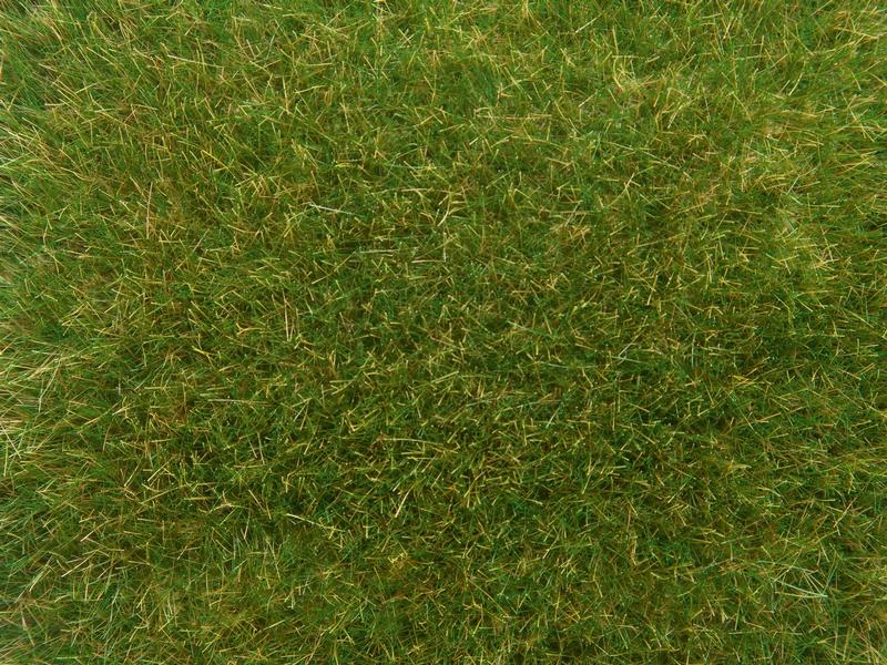 NOCH Wildgras mittelgrün, 9 mm, 50 g H0 Streubares, Statisches Gras
