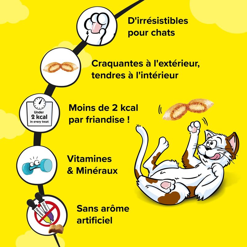 Méga Tub Dreamies Catisfactions