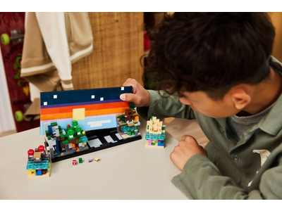 LEGO Minibiomen (21589)