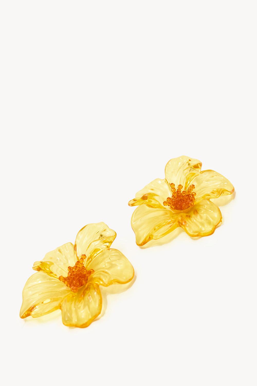 BLOOMING WONDERS