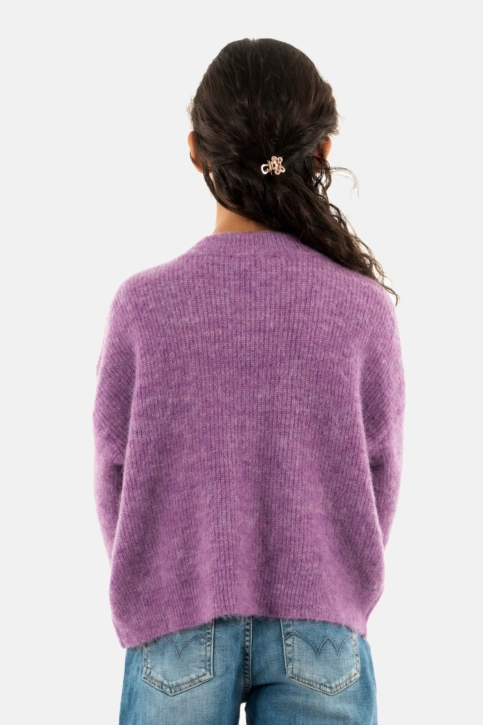 pulls hiver Le Temps Des Cerises symchagi 6032 lilac