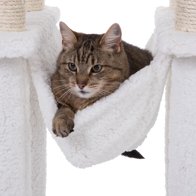 Arbre à chat La Digue II