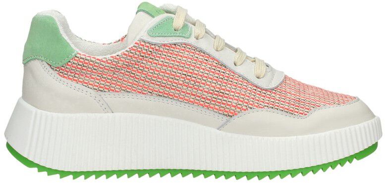 Palpa Veterschoenen Laag groen