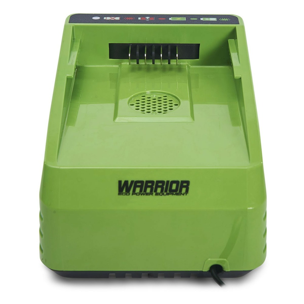 Chargeur de batterie lithium 60v charge rapide warrior