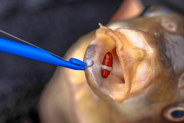 Preston Bander Disgorger Twin Pack (Dégorgeoir & Outil à Baitbands)