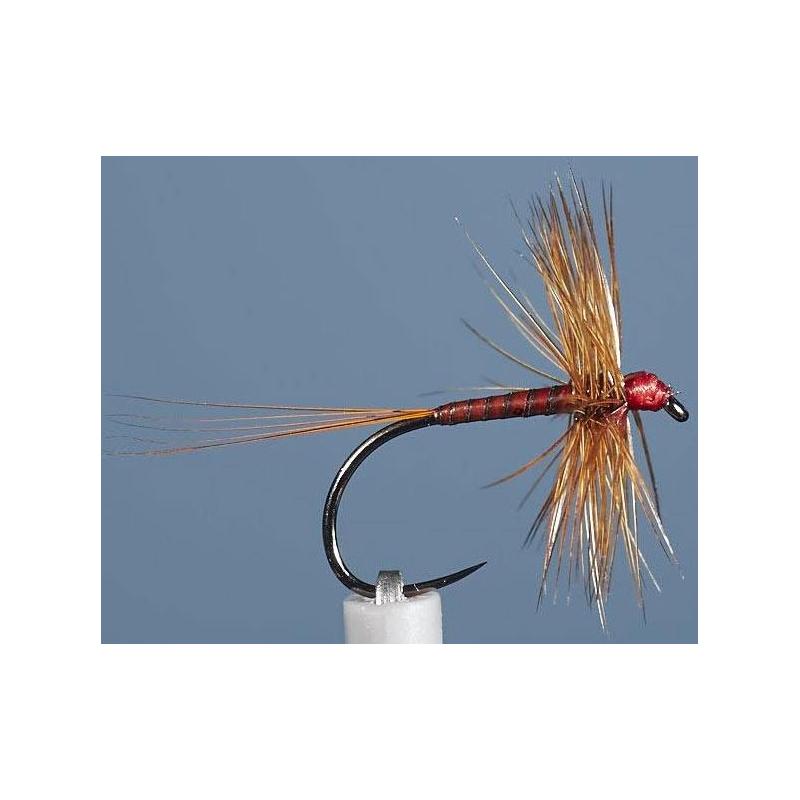 Mouche Jmc Ephemere Eli 13 Bl