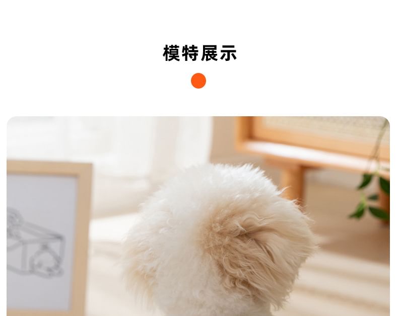 Cissilli - Print Piping Pet Top
