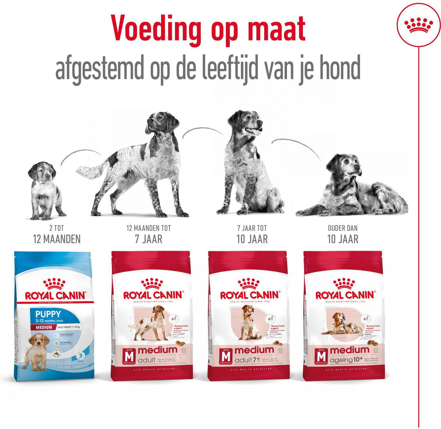 Royal Canin Medium Adult 7+ 4 kg
