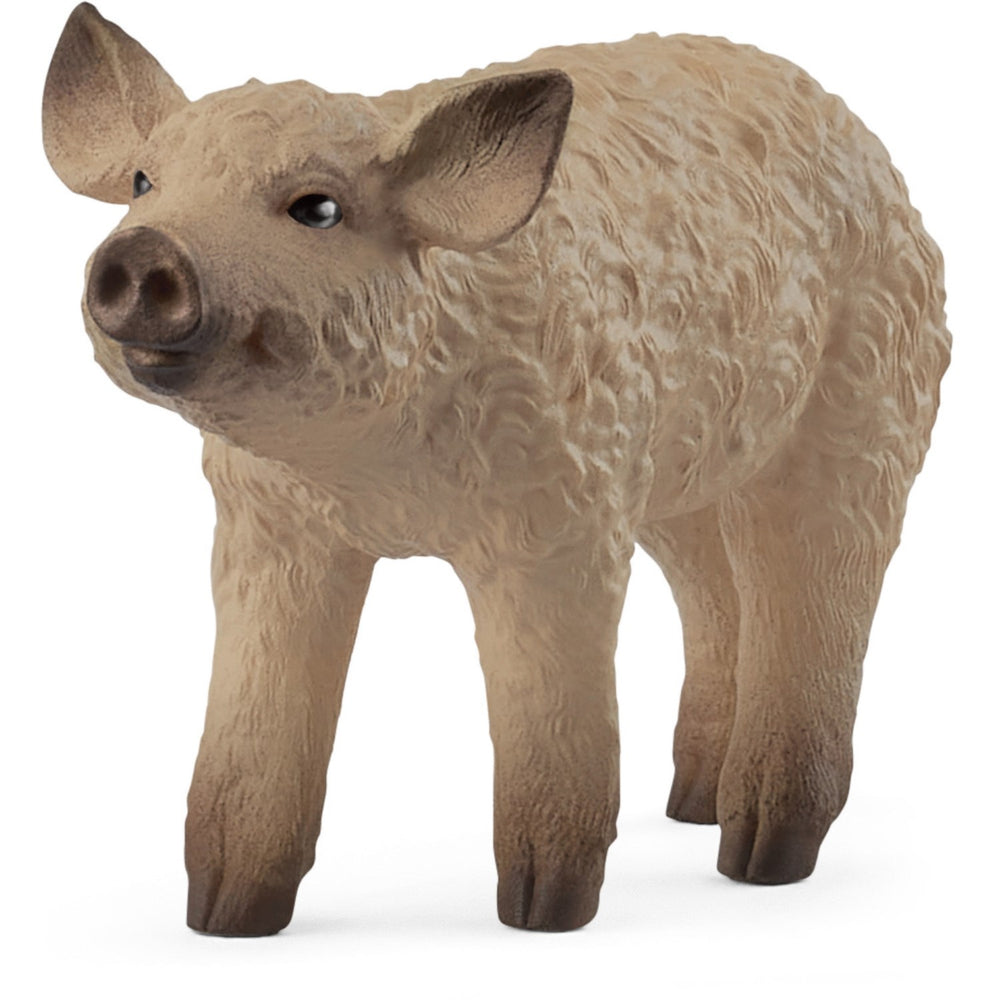 Køb Schleich Mangalica Grisling