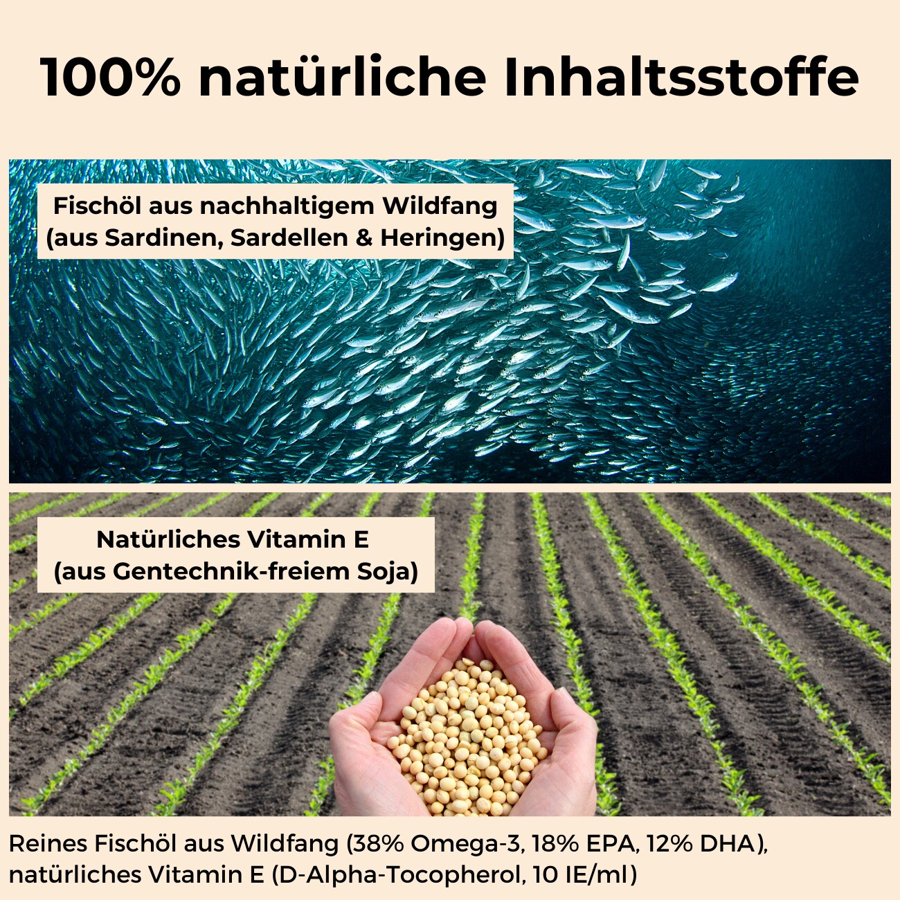 Dog-Native Wildfischöl für Hunde, natürliches Omega-3 Öl in Glasflasche mit EPA & DHA, Fischöl kein Lachsöl, Futteröl für Fell, Haut & Gelenke, Barf Zusatz mit Vitamin E, 500ml