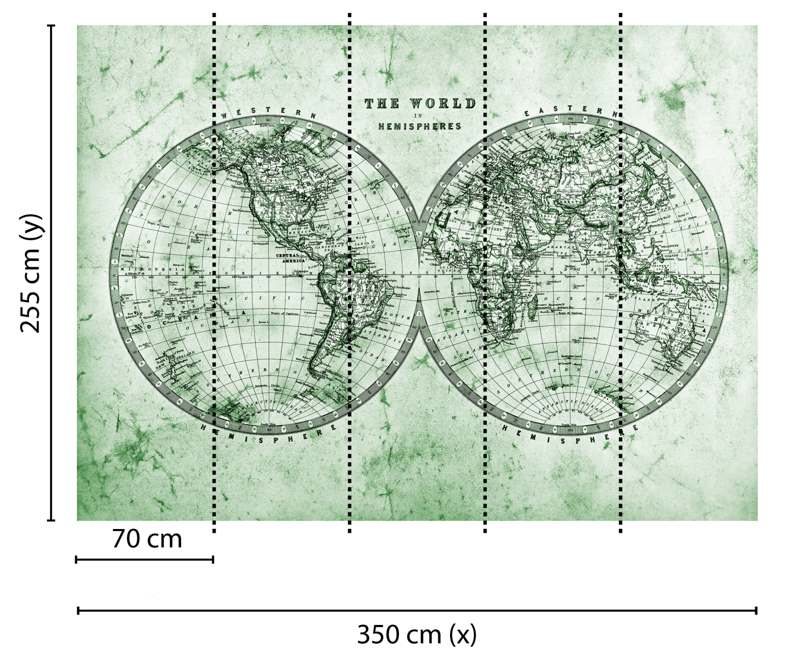 Fototapete DESIGNWALLS - grün-grau - Weltkarte - 2,55 Meter