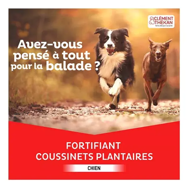 Clement Thekan Dog Pad Fortificante Roll-on 70ml