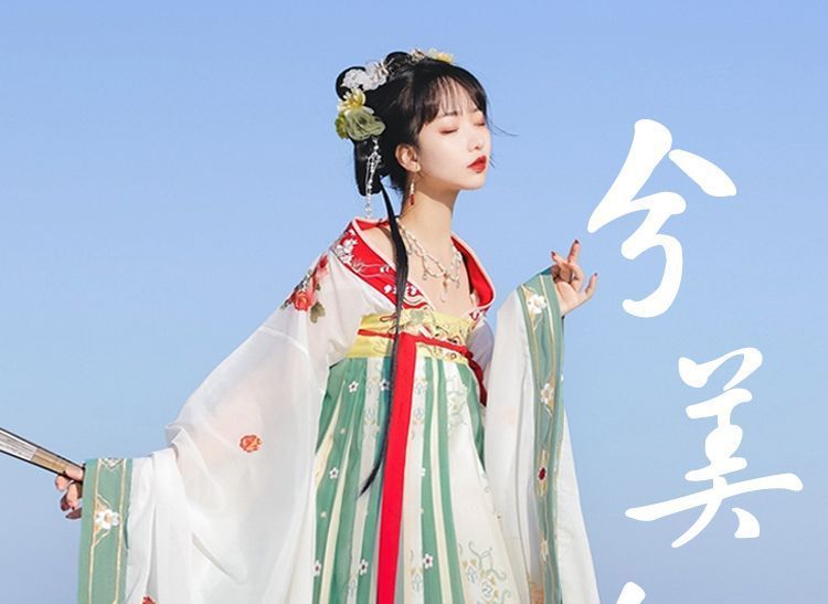 Francoix - Hanfu Set van 2: Geborduurde top met lange mouwen + Maxi-rok met print op de borst