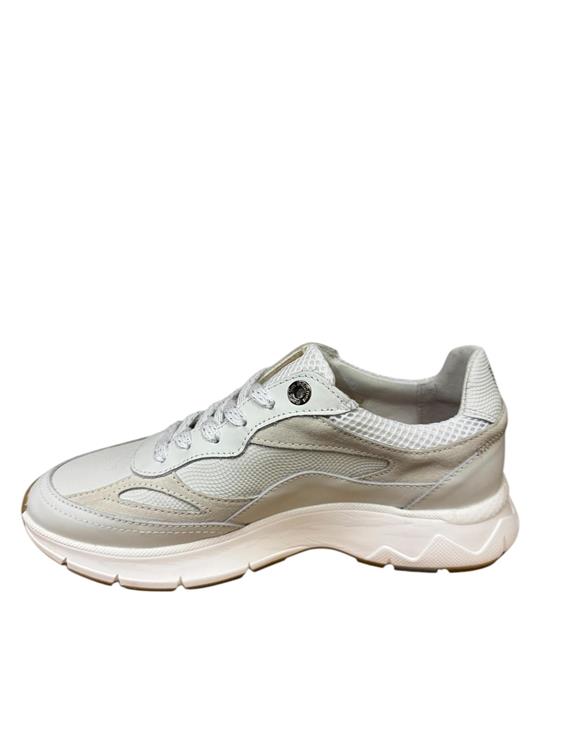 Floris van Bommel SFW-10101 white