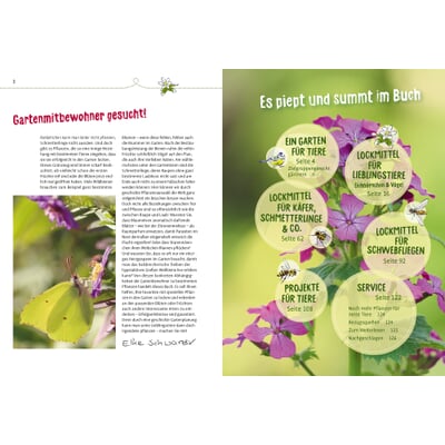 Meise mag Melisse