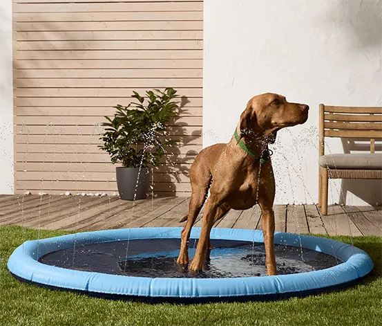 Hunde-Wasserspielmatte