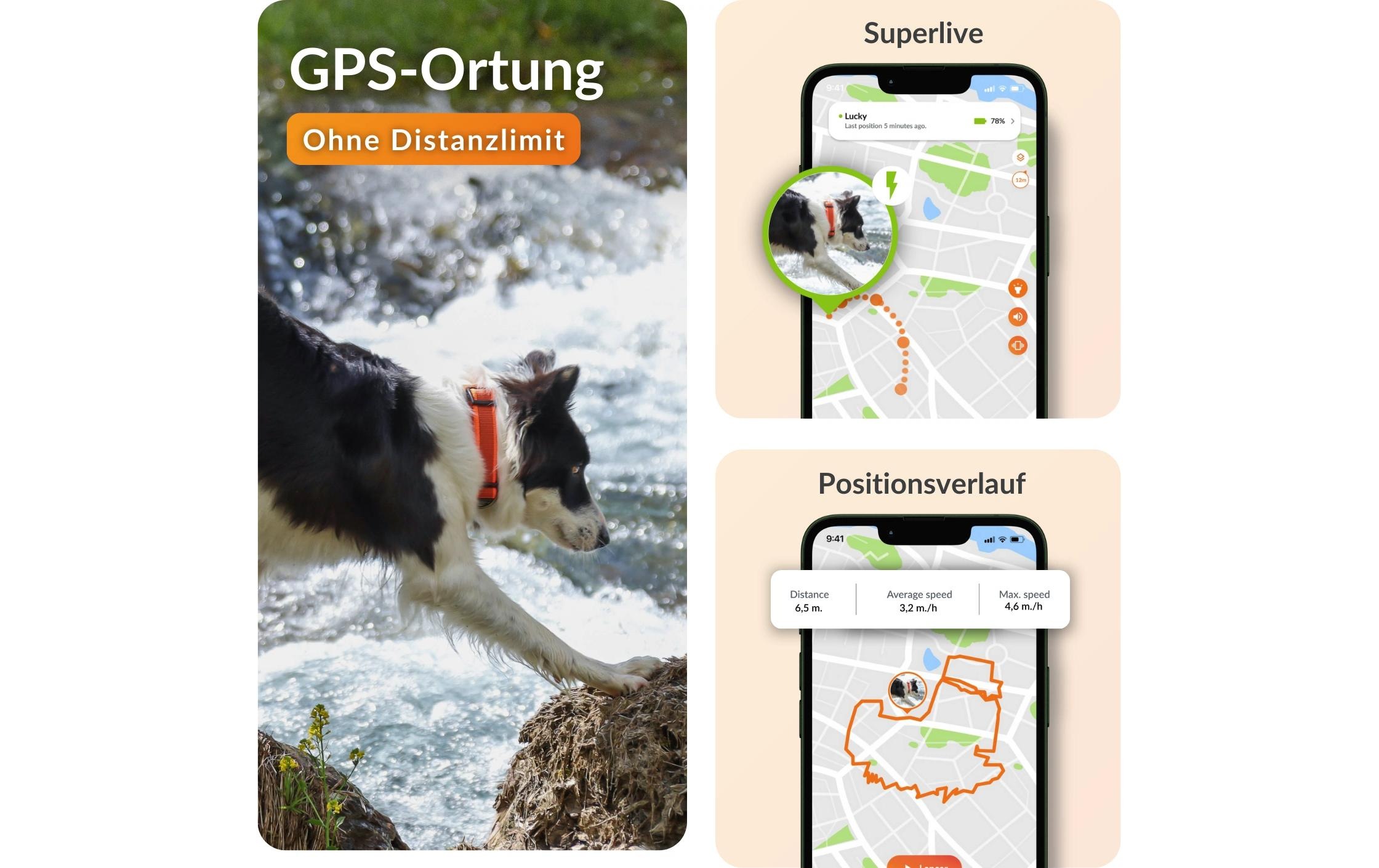 GPS-Hundetracker »Weenect für Hunde XT ohne Halsband«