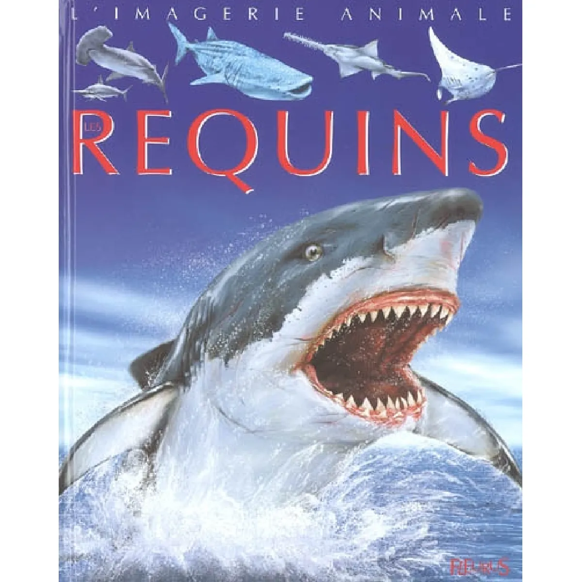 Requins · Occasion
