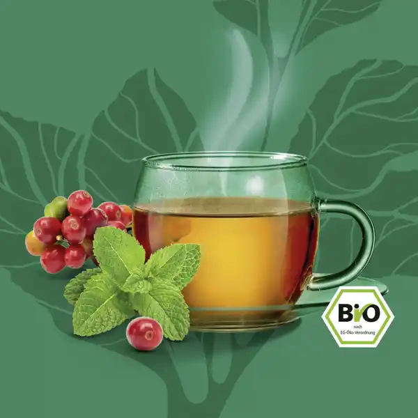 Bio Kräutertee Cascara+Minze