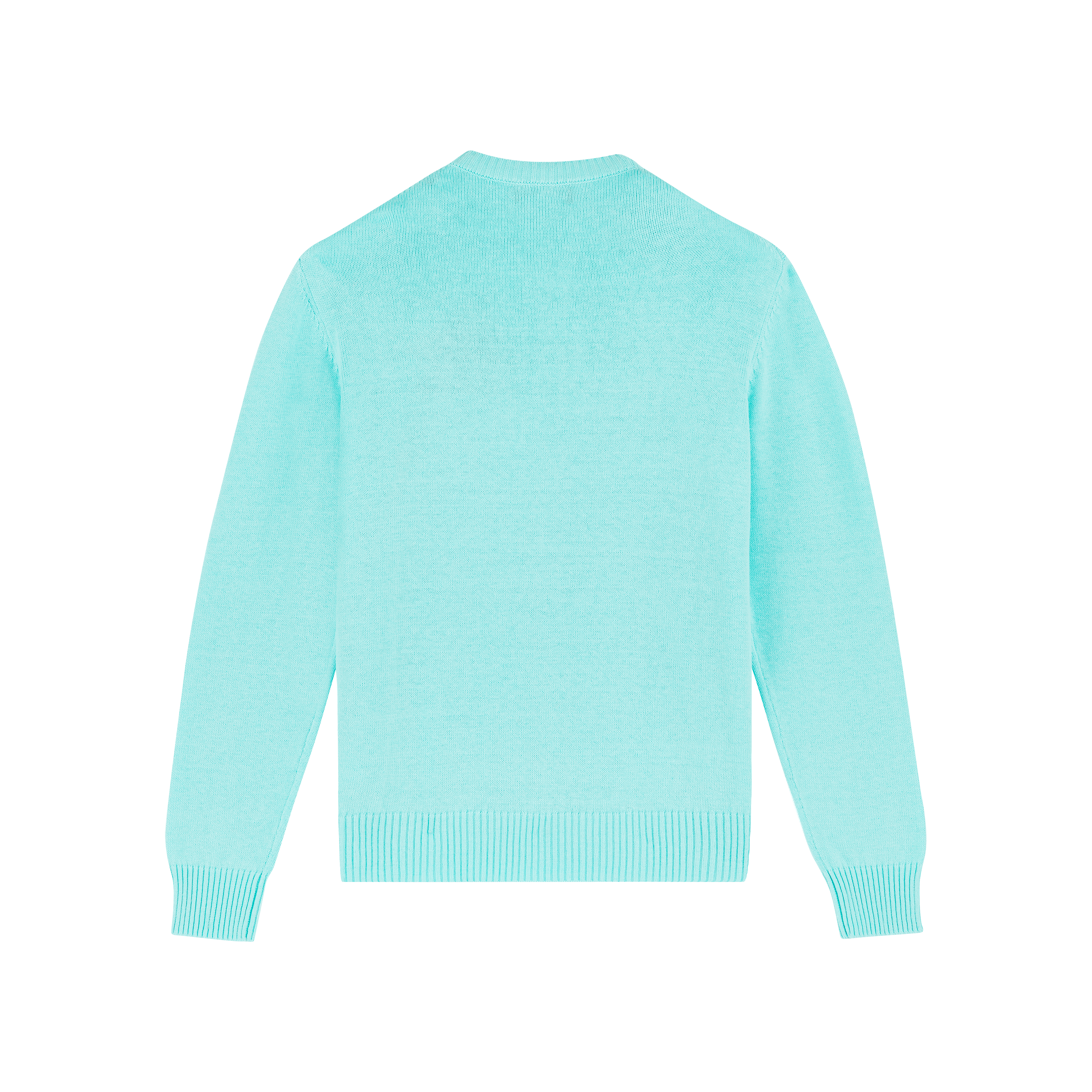 Pullover en Coton et Cachemire Ras-du-Cou Homme Tortue