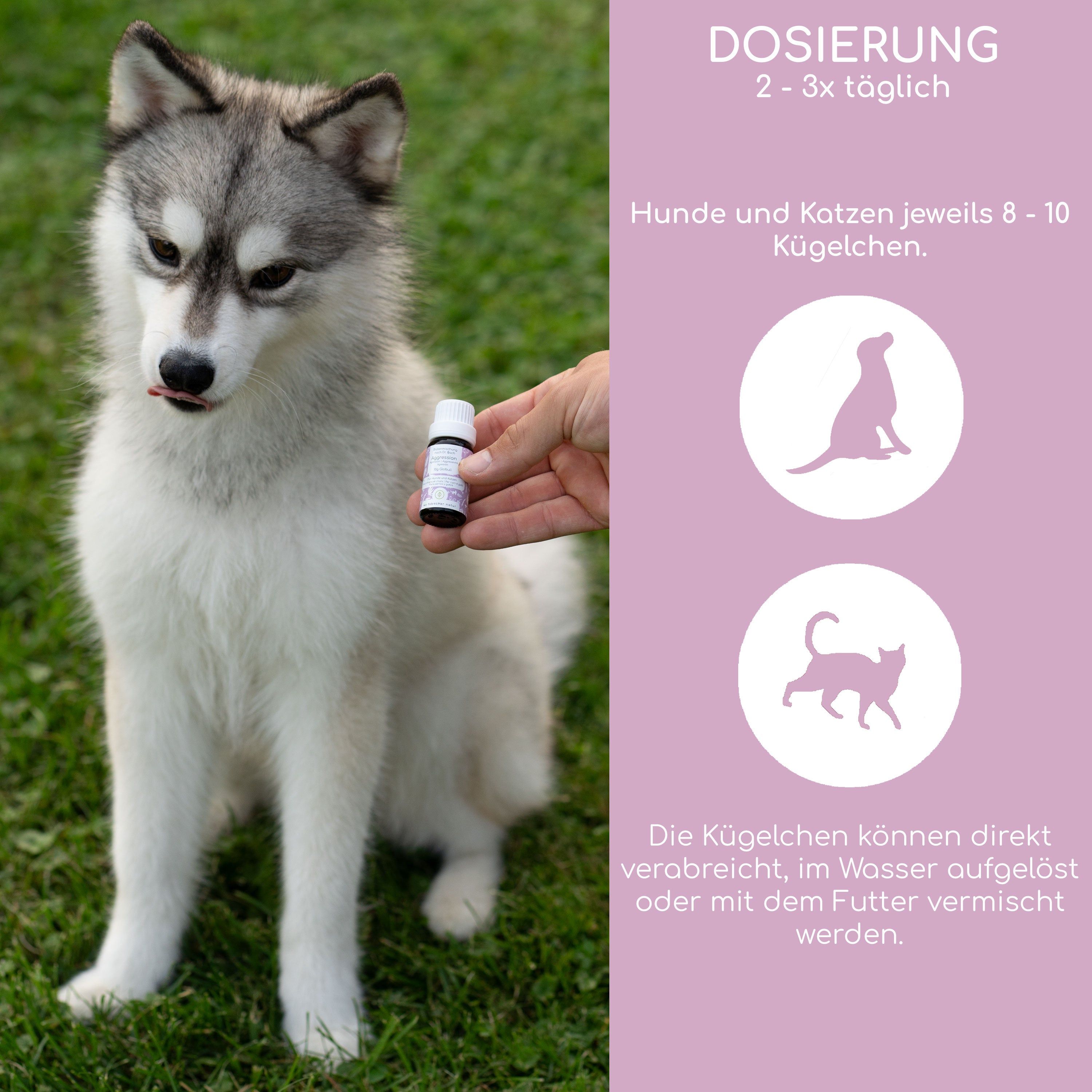 Wolfsbacher Natur Bachblüten Aggression
