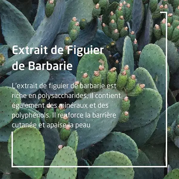Weleda Figuier de Barbarie Fluide Hydratant 24h Bio 30ml