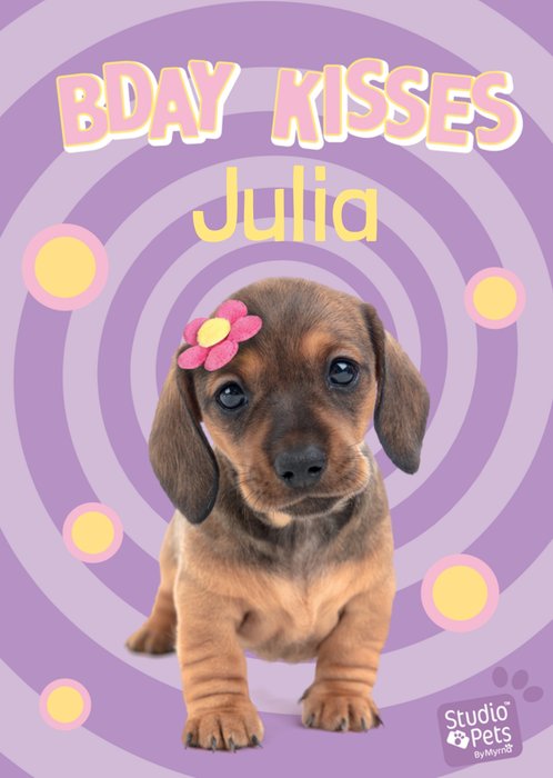 Studio Pets | Bday Kisses | Puppy