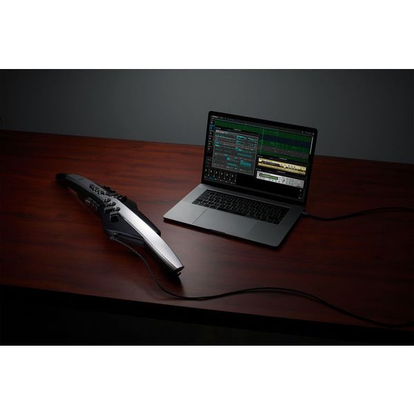 Roland Aerophone Pro AE-30