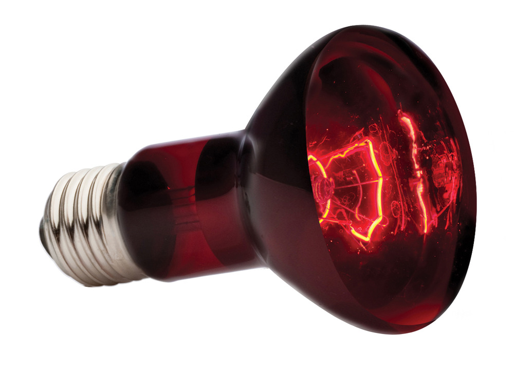 Lampe infrared basking spot reptiles