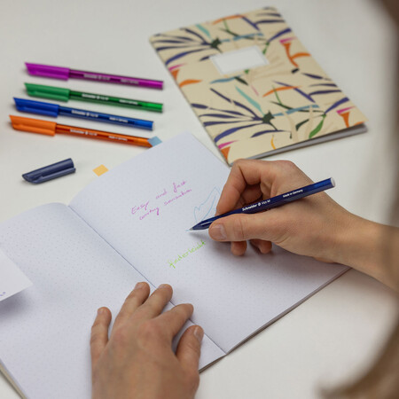 Schneider Vizz 10er-Etui Kugelschreiber - M