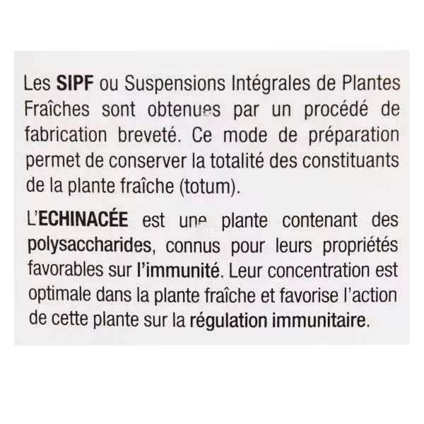 Synergia SIPF Equinácea Orgânica 100ml