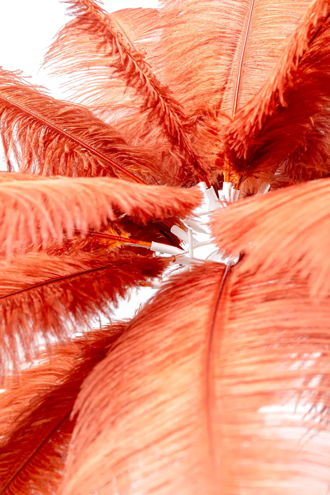 Tischleuchte Feather Palm