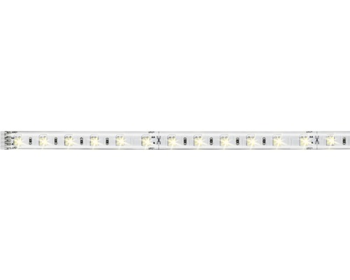 MaxLED 500 Strip 1 m 550 lm 3000-6500 K Instelbaar wit 60 gecoate LED's Uitbreiding naar 24V basisset, Smart Home compatibel na verlenging