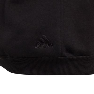 Adidas SportswearEssentials Big Logo Hoodie - schwarz