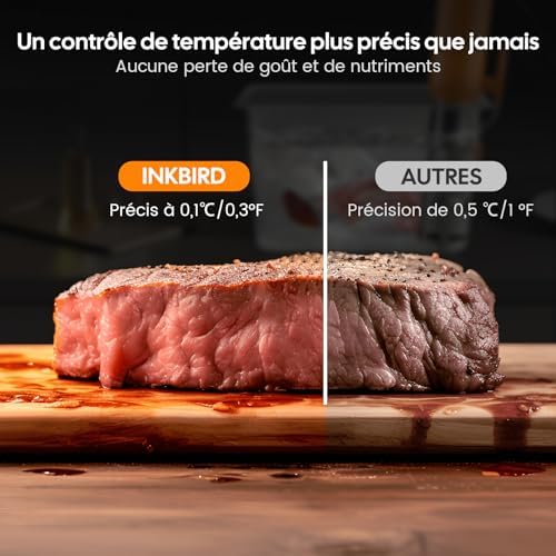 INKBIRD WiFi Thermoplongeur Sous Vide ISV 101W, Cuisson Basse Température 1000W: Écran TFT, Cuisson De Réservation App, Protection Du Niveau D'eau, Avertissement De Température, 0℃~95℃, Réglable 0,1℃ : Cuisine et Maison