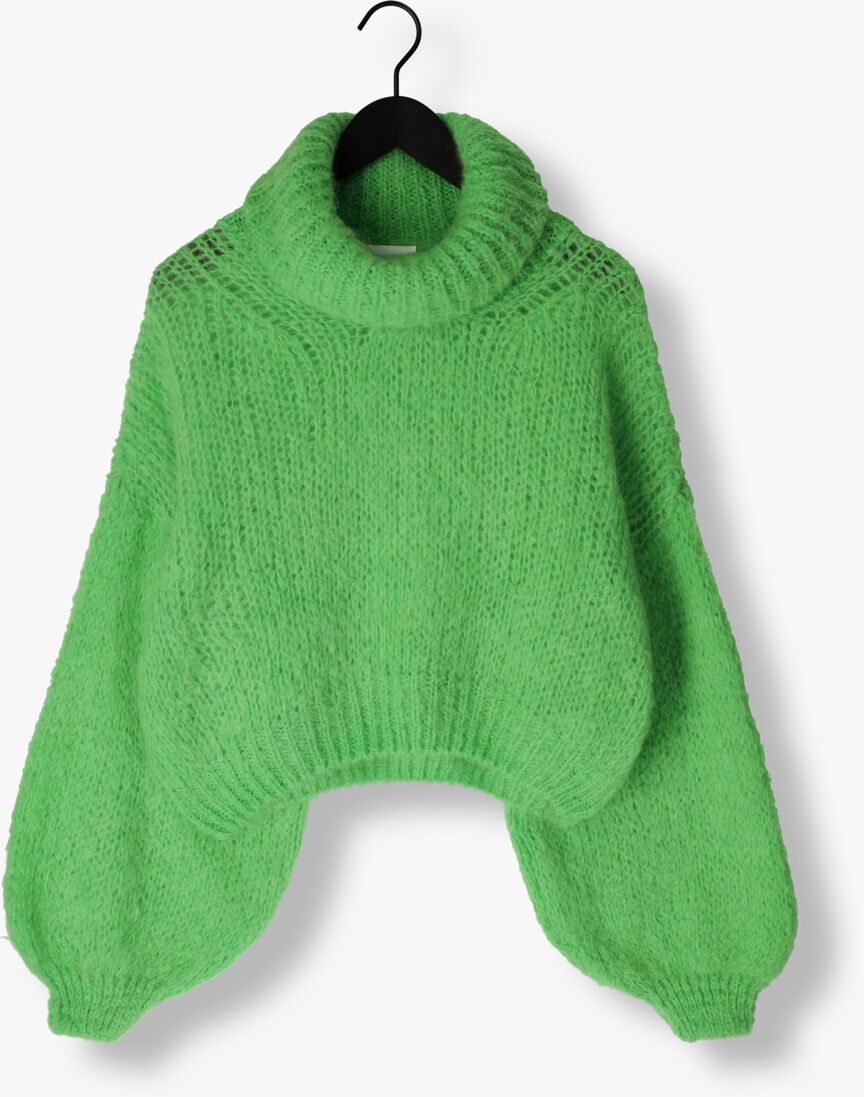 AMERICAN DREAMS groene american dreams coltrui pepper roll neck cropped