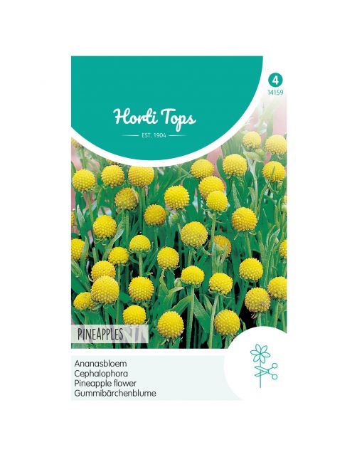 Hortitops Cephalophora - Ananasbloem Pineapples - Bloemenzaden - 100 g
