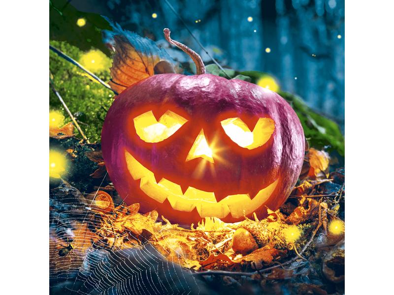 Paper   Design Servietten Pumpkin Night 33 cm x 33 cm, 20 S Servietten aus Papier