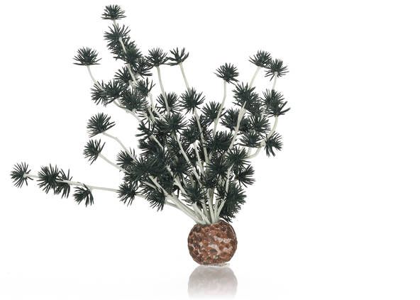 biOrb Bonsai bal Donkergroen | Decoratie
