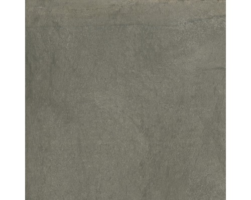 FLAIRSTONE porseleinen terrastegel Garden Goldengrey gerectificeerde rand 60 x 60 x 2 cm
