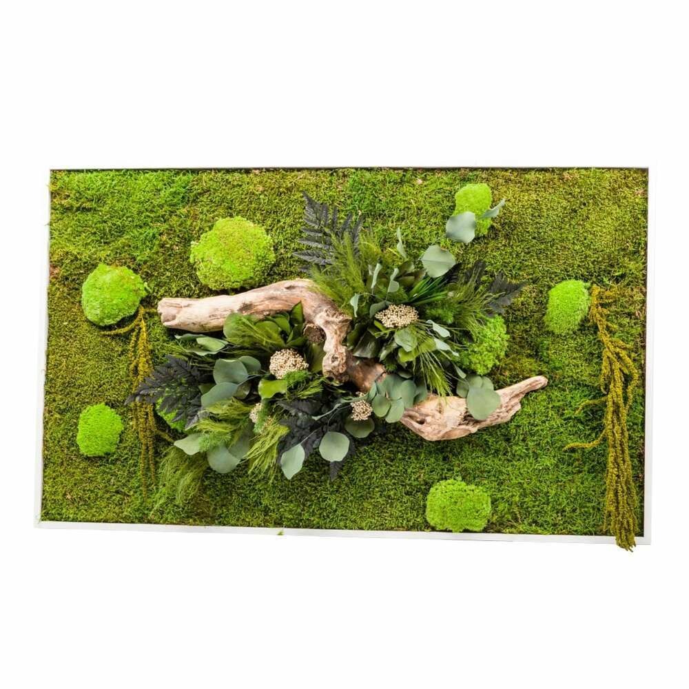 Stab nature - cadre blanc - rectangle xl 100x60
