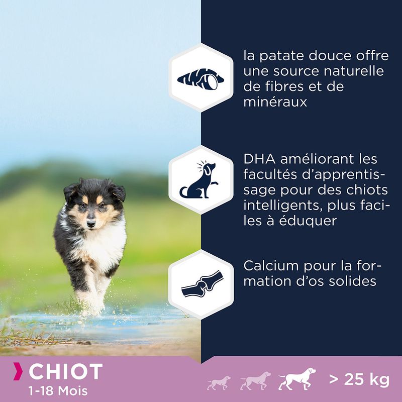 Eukanuba Grain Free Puppy Large Breed au poulet