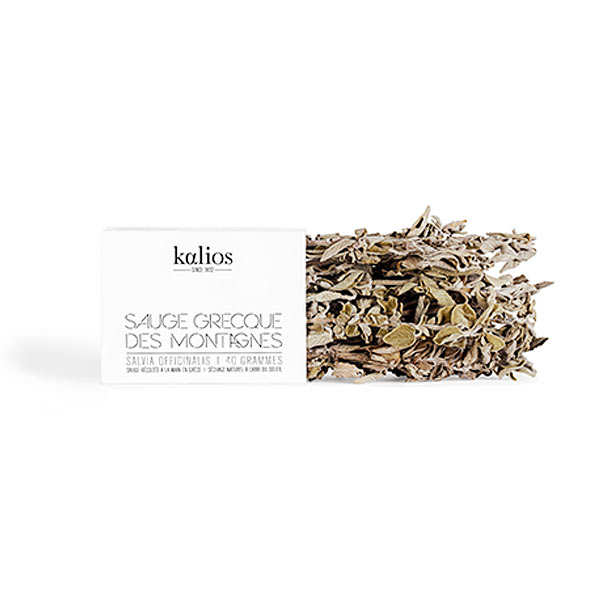 Sauge en branche de Grèce