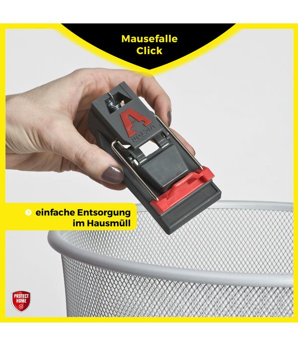 PROTECT HOME Mausefallen Click, 3 Stk.