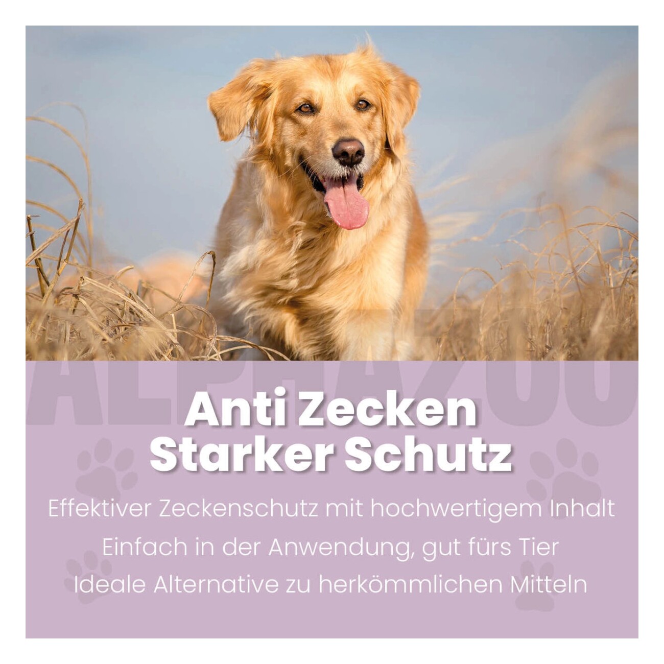 ALPHAZOO ZeckAttack Zeckenspray für Hunde I Starker Zeckenschutz 100 ml