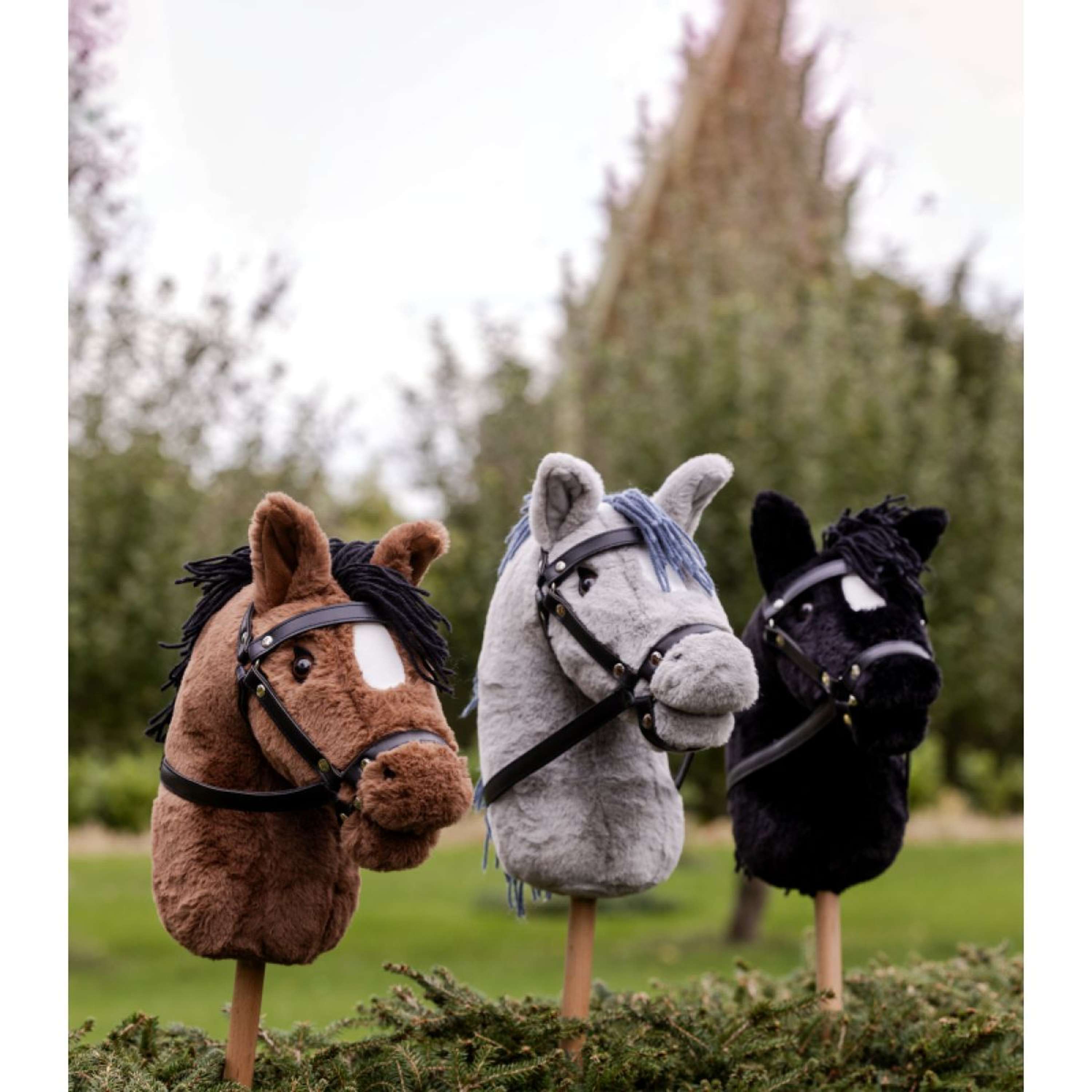 Waldhausen Hobby Horse Blacky Zwart